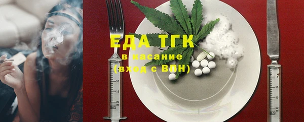 индика Сафоново