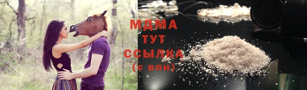 индика Сафоново