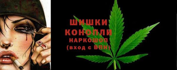 индика Сафоново