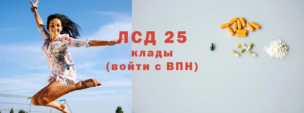 индика Сафоново