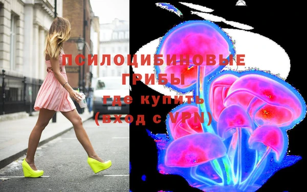 винт Сатка