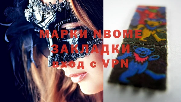 индика Сафоново