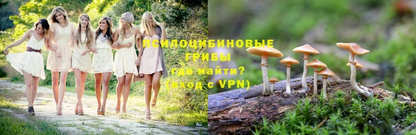 винт Сатка