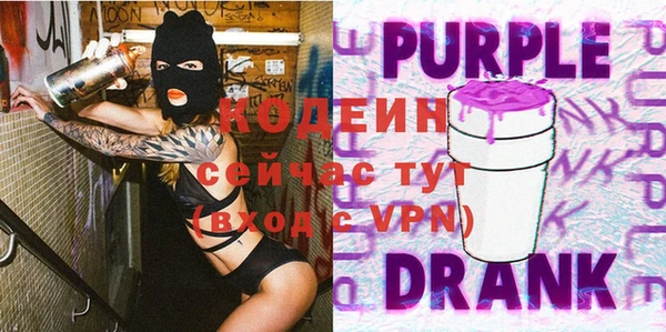 индика Сафоново