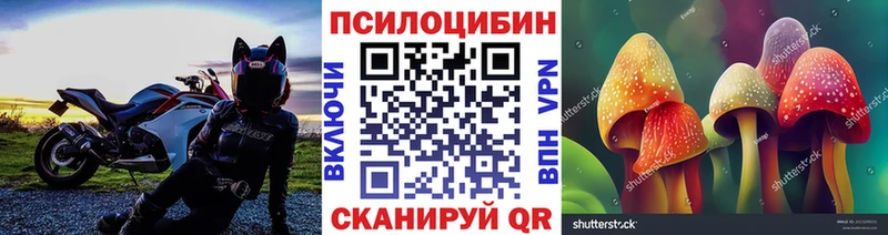 МЕГА tor  Спасск-Дальний  Псилоцибиновые грибы мицелий 